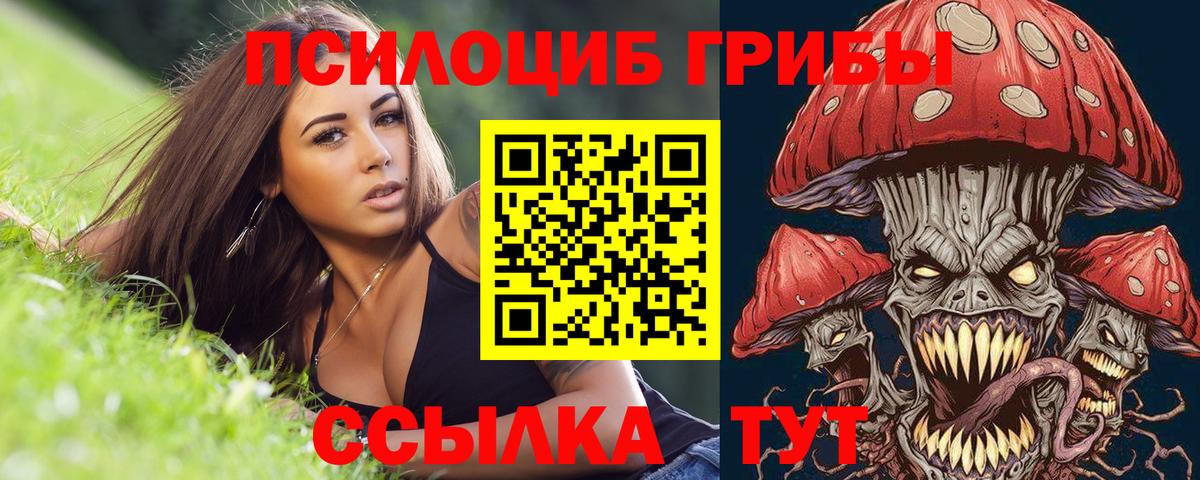 Псилоцибиновые грибы мицелий  где купить   Кузнецк  Вход с VPN 